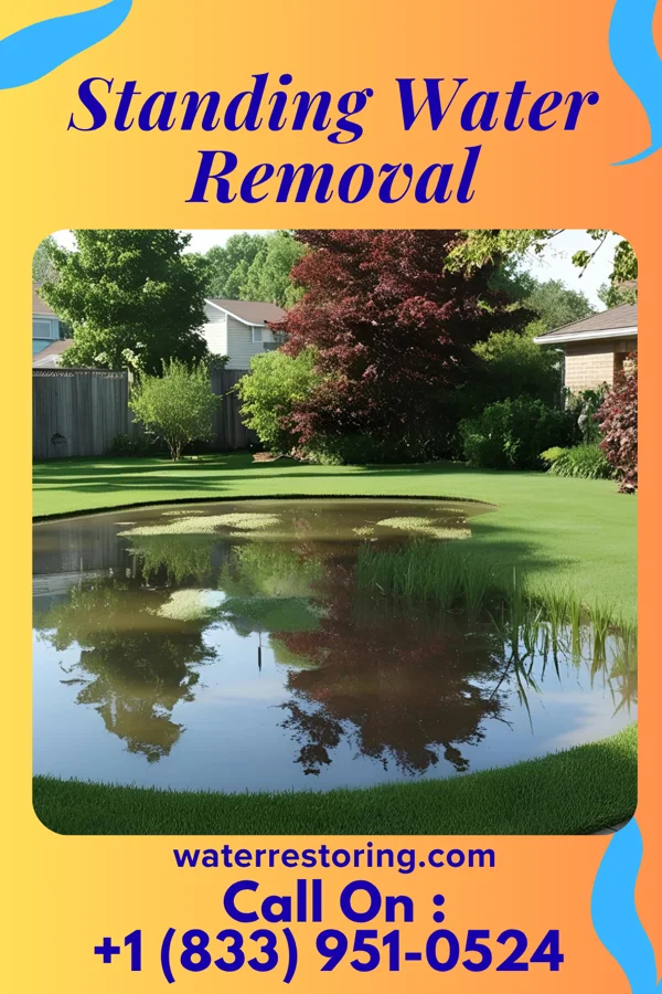 Standing Water Removal in Waukee, IA